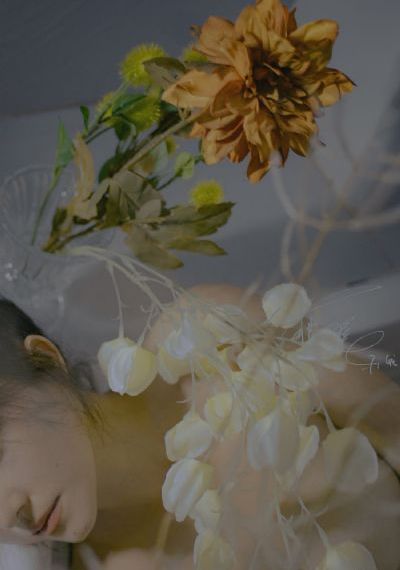 电影女按摩师_1080免费观看